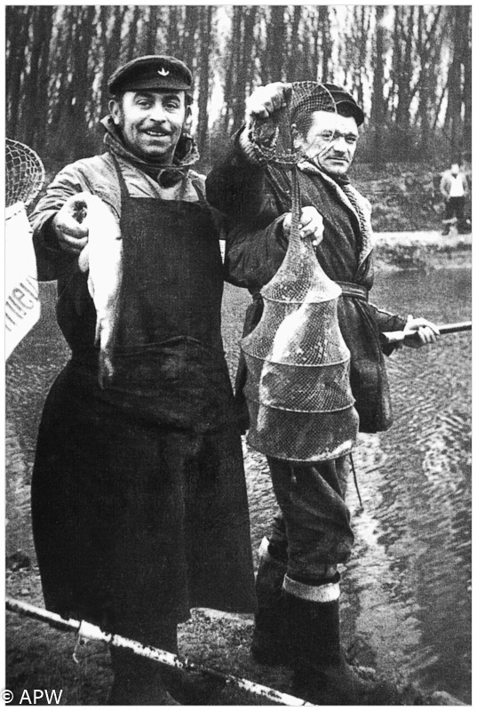 Monsieur Maurice Tomasina - Amicale des pêcheurs de Wambrechies Monsieur Maurice Tomasina - Amicale des pêcheurs de Wambrechies