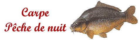 carpe-peche-de-nuit.jpg